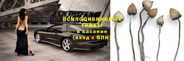 дживик Белоозёрский