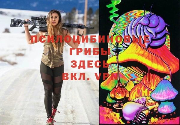 тгк Белокуриха