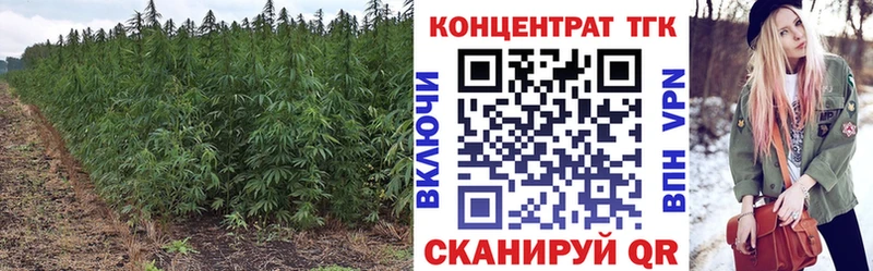 ТГК THC oil  Краснозаводск 